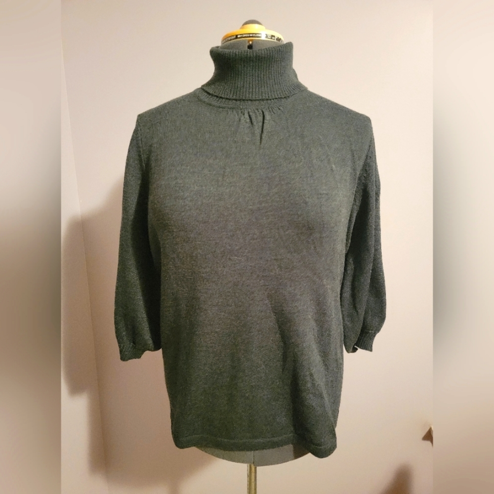 Susan Bristol Merino Wool turtleneck